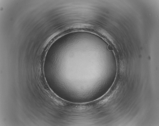 X0000076400829200610161203