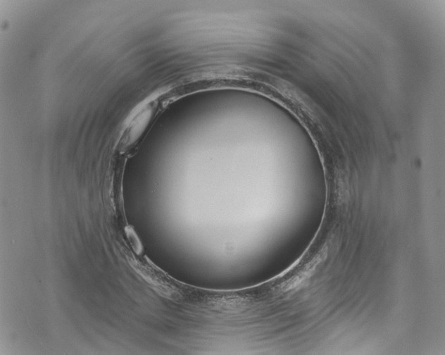 X0000076400830200610161203