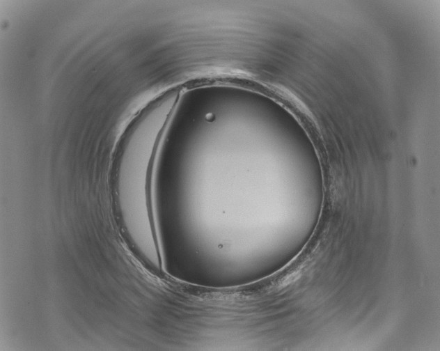 X0000076400831200610161203