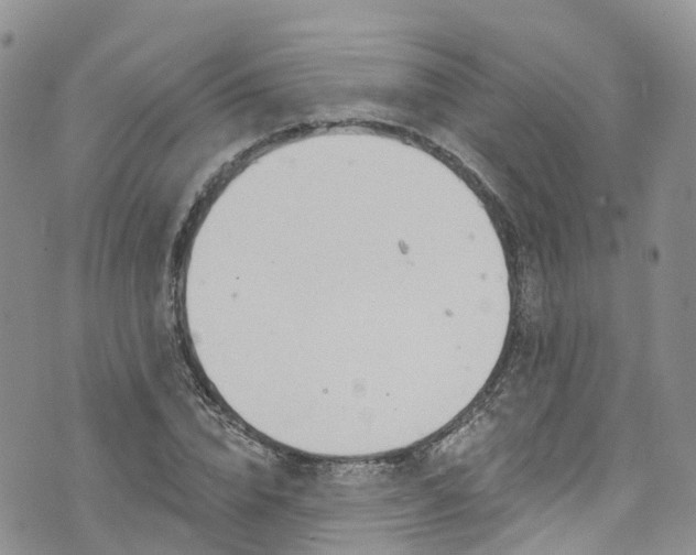 X0000076400832200610161203