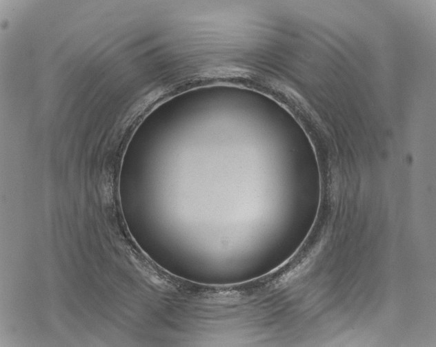 X0000076400833200610161203