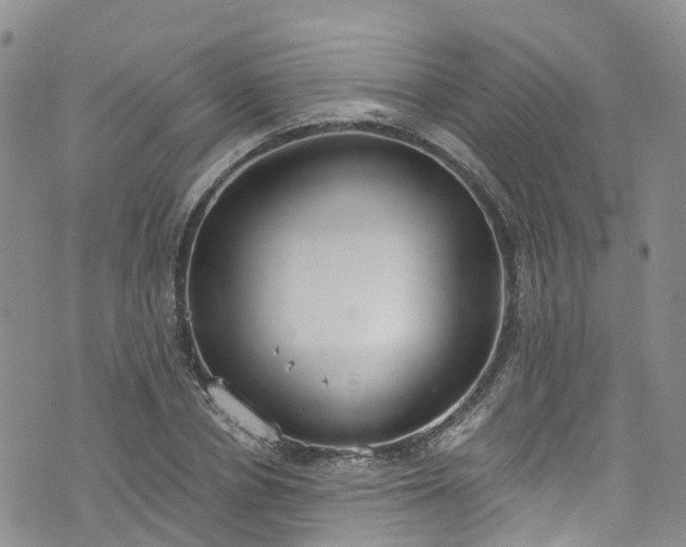 X0000076400834200610161203