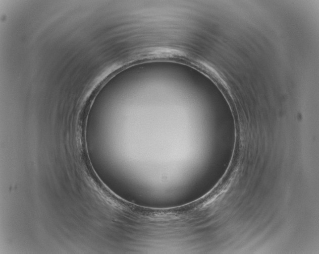 X0000076400835200610161203