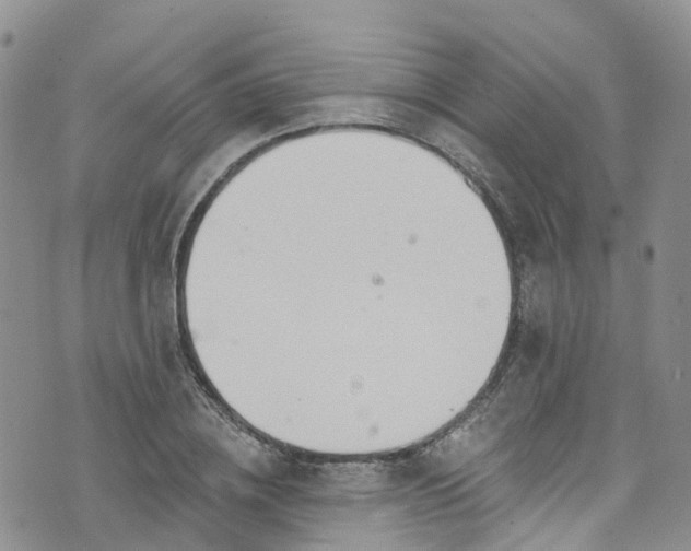 X0000076400836200610161203