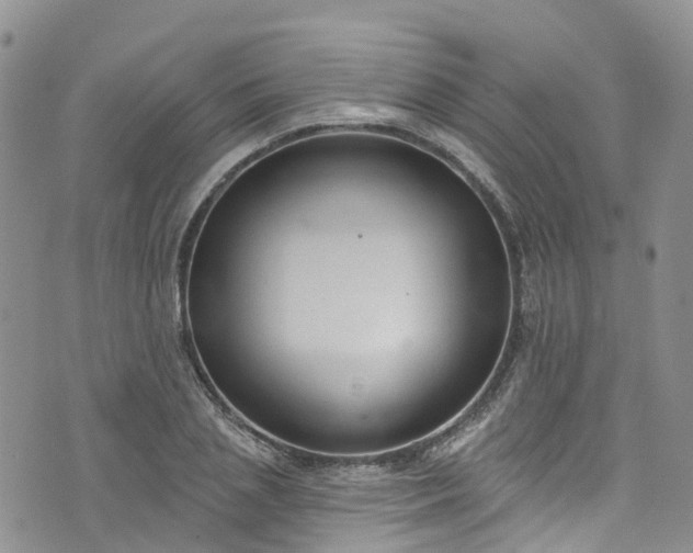 X0000076400837200610161203