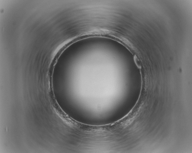 X0000076400838200610161203