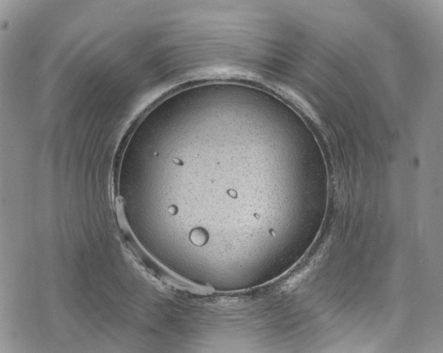 X0000076400839200610161203