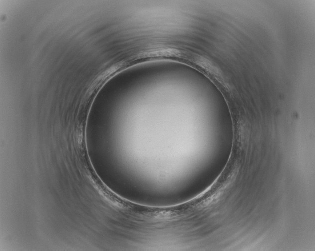 X0000076400841200610161203