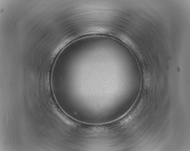 X0000076400842200610161203