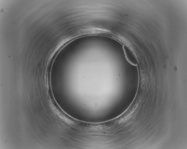 X0000076400843200610161203