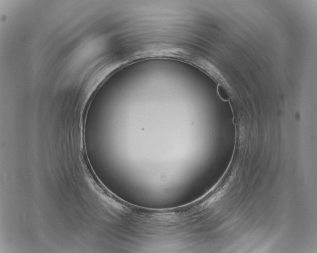 X0000076400844200610161203