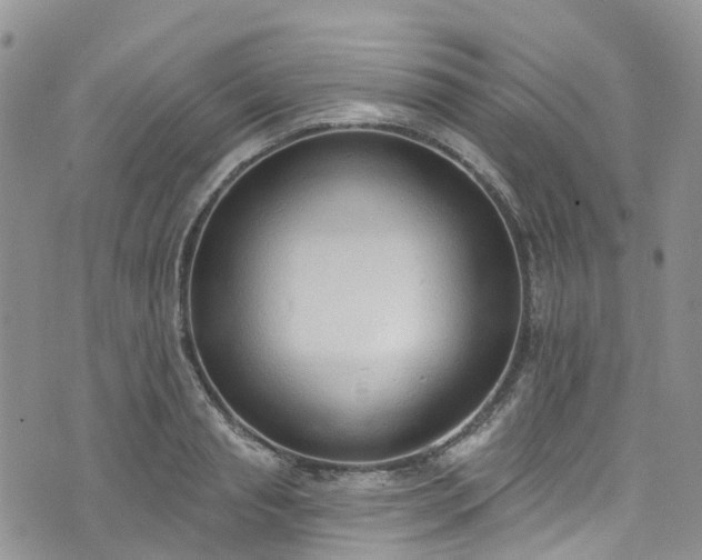 X0000076400845200610161203