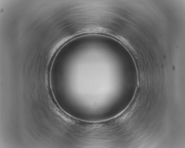 X0000076400846200610161203