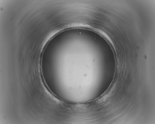 X0000076400847200610161203