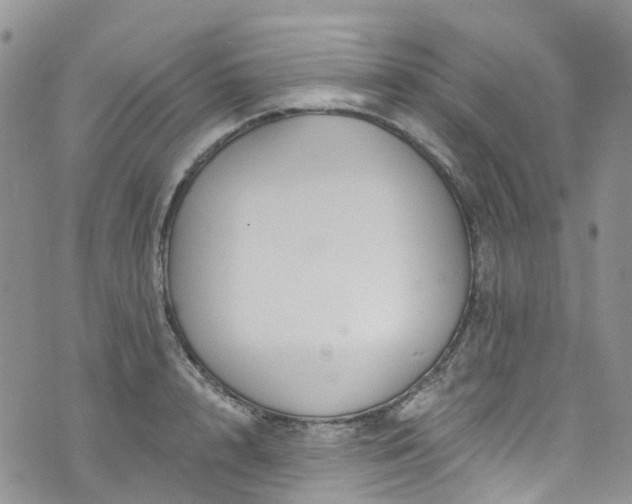 X0000076400848200610161203