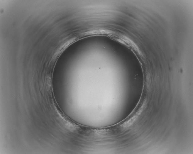 X0000076400849200610161203