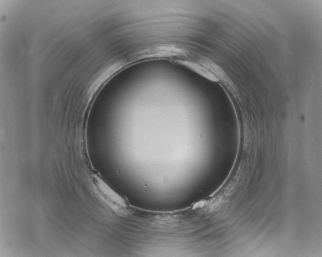 X0000076400850200610161203