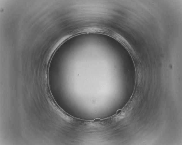 X0000076400852200610161203