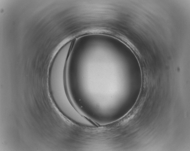 X0000076400853200610161203