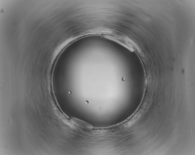 X0000076400854200610161203