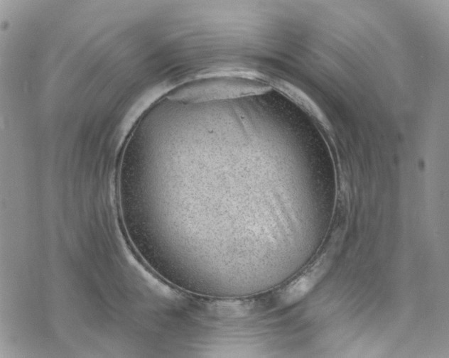 X0000076400855200610161203