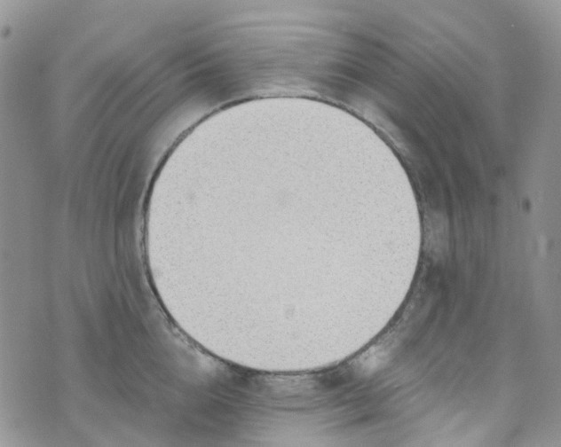 X0000076400856200610161203