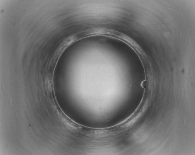 X0000076400857200610161203