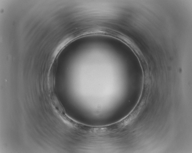 X0000076400858200610161203