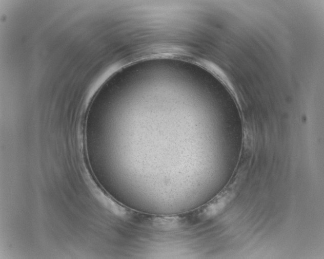 X0000076400859200610161203