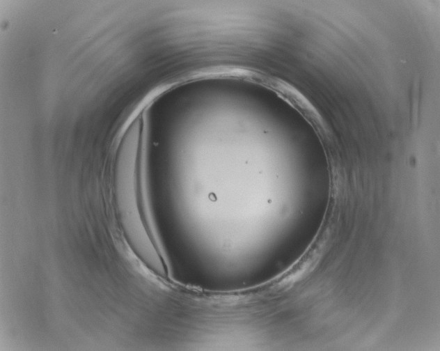 X0000076400860200610161203