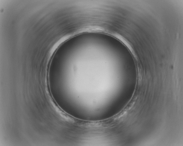 X0000076400861200610161203