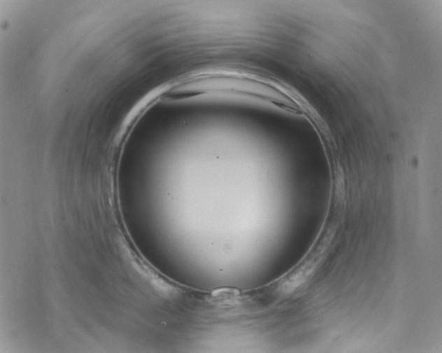 X0000076400862200610161203