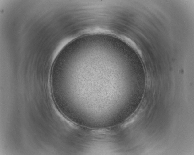 X0000076400863200610161203