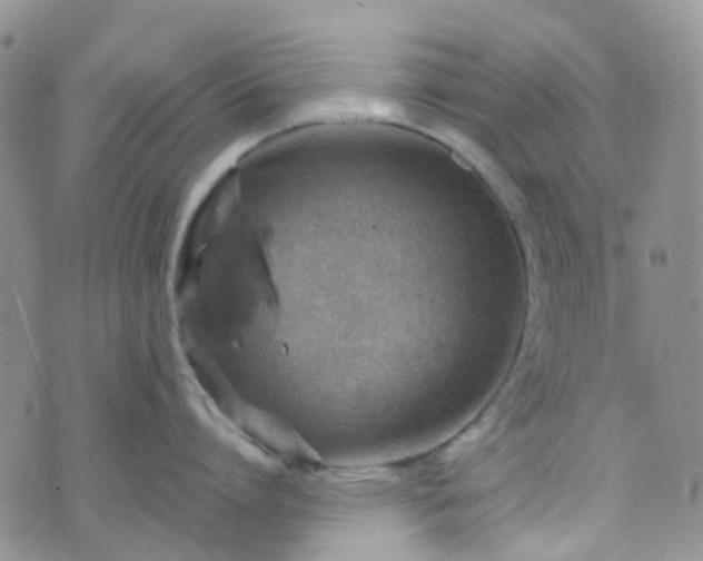 X0000076400864200610161203