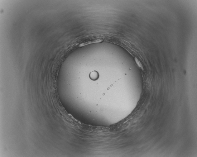 X0000076400865200610161203