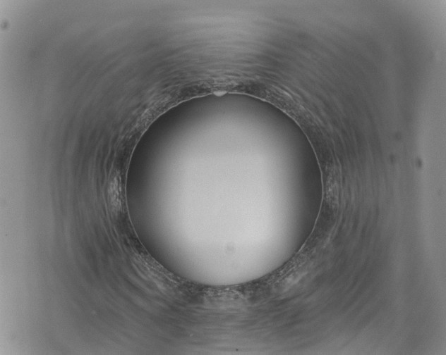 X0000076400866200610161203