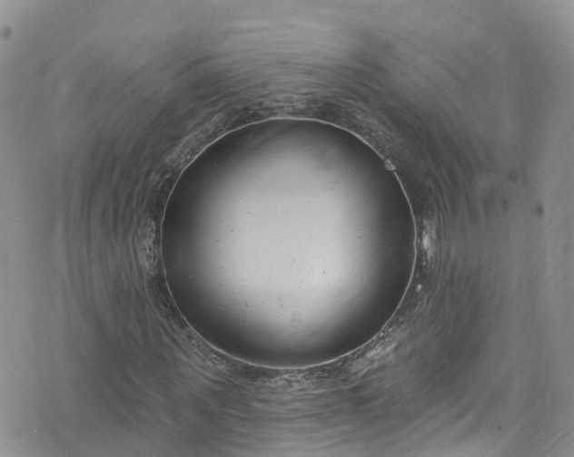 X0000076400867200610161203