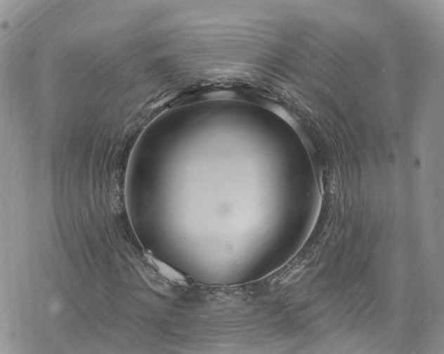 X0000076400868200610161202