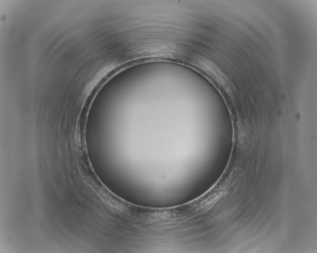 X0000076400883200610161202