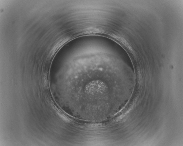 X0000076400889200610161202