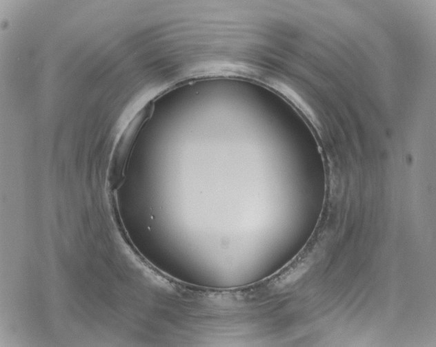 X0000076400901200610161202