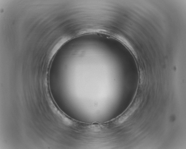 X0000076400906200610161202