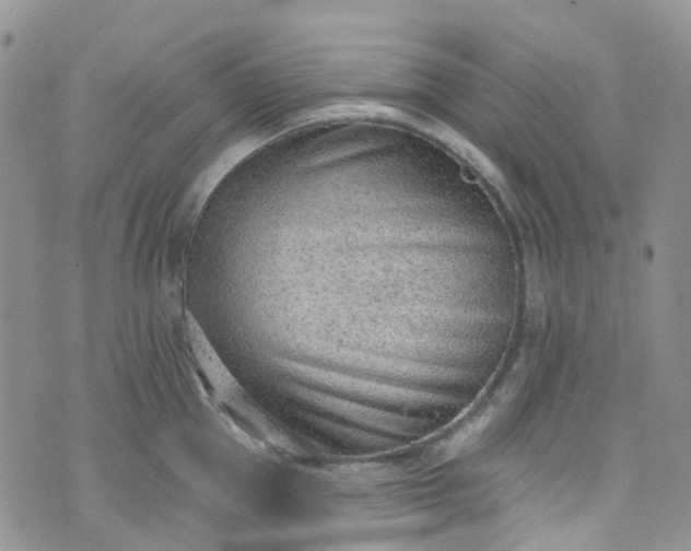 X0000076400953200610161202