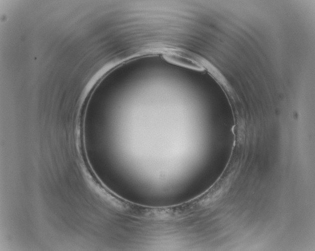 X0000076400955200610161202