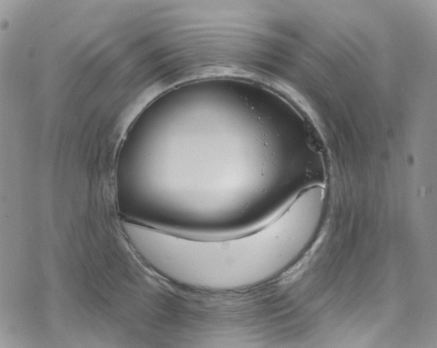 X0000076401097200610161159
