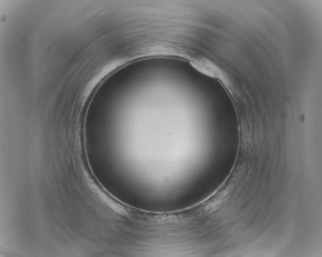X0000076401142200610161158