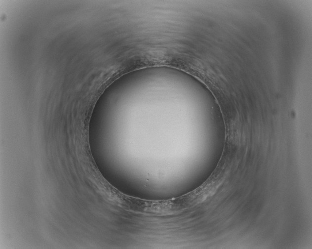 X0000076401201200610161156