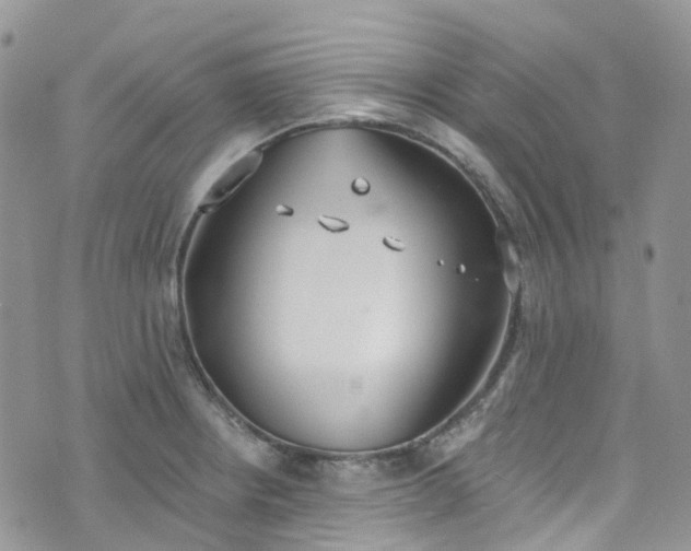 X0000076401234200610161157