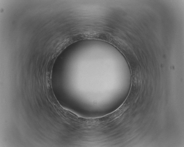 X0000076401346200610161155