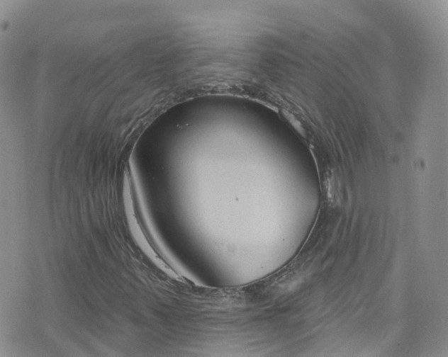 X0000076401347200610161155